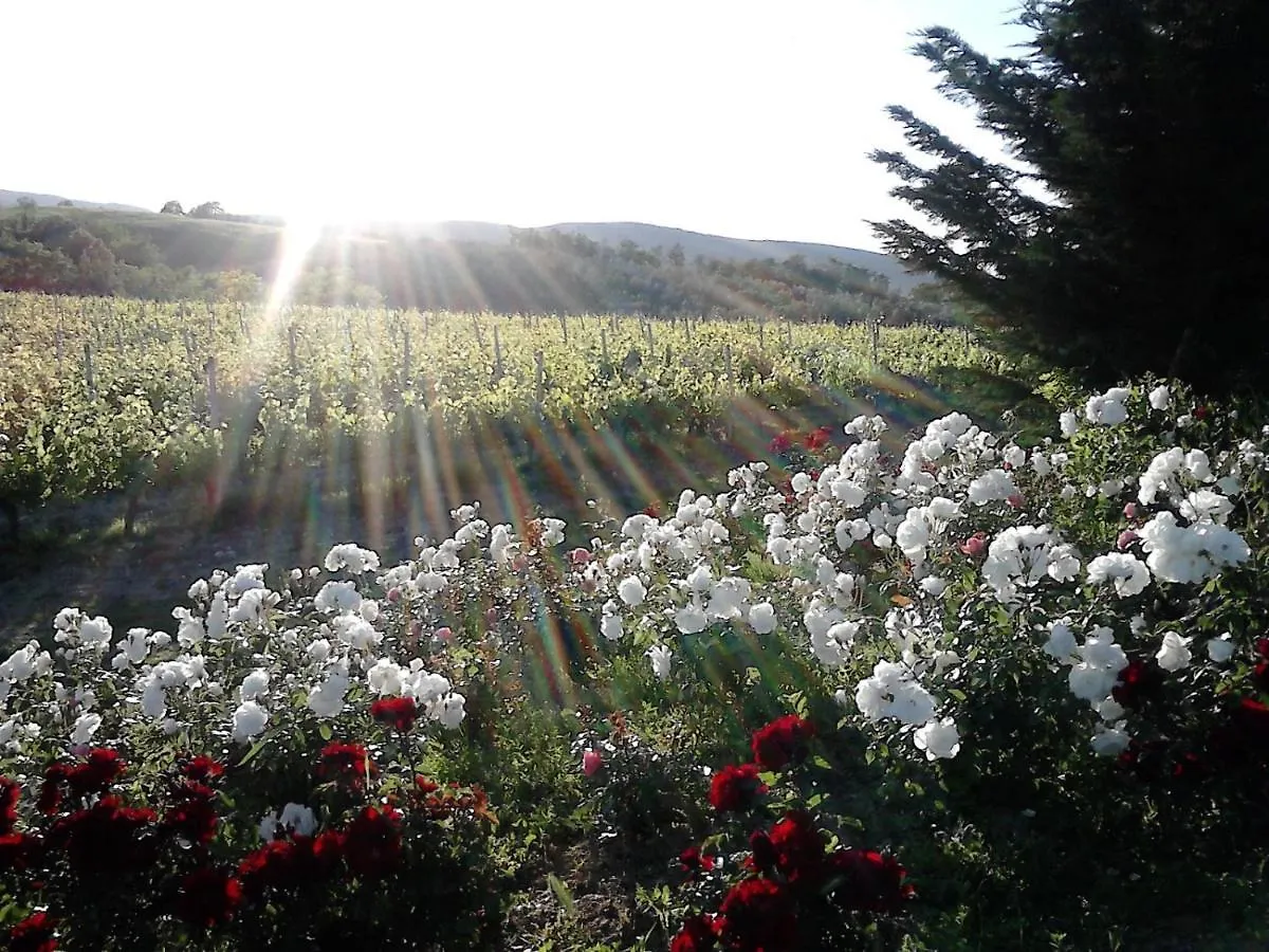 Agriturismo Fattoria Il Piano - Casa Bugno - San Gimignano Farm stay