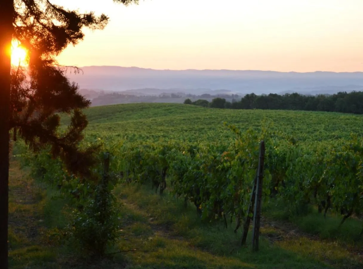 Agriturismo Fattoria Il Piano - Casa Bugno - San Gimignano Italy