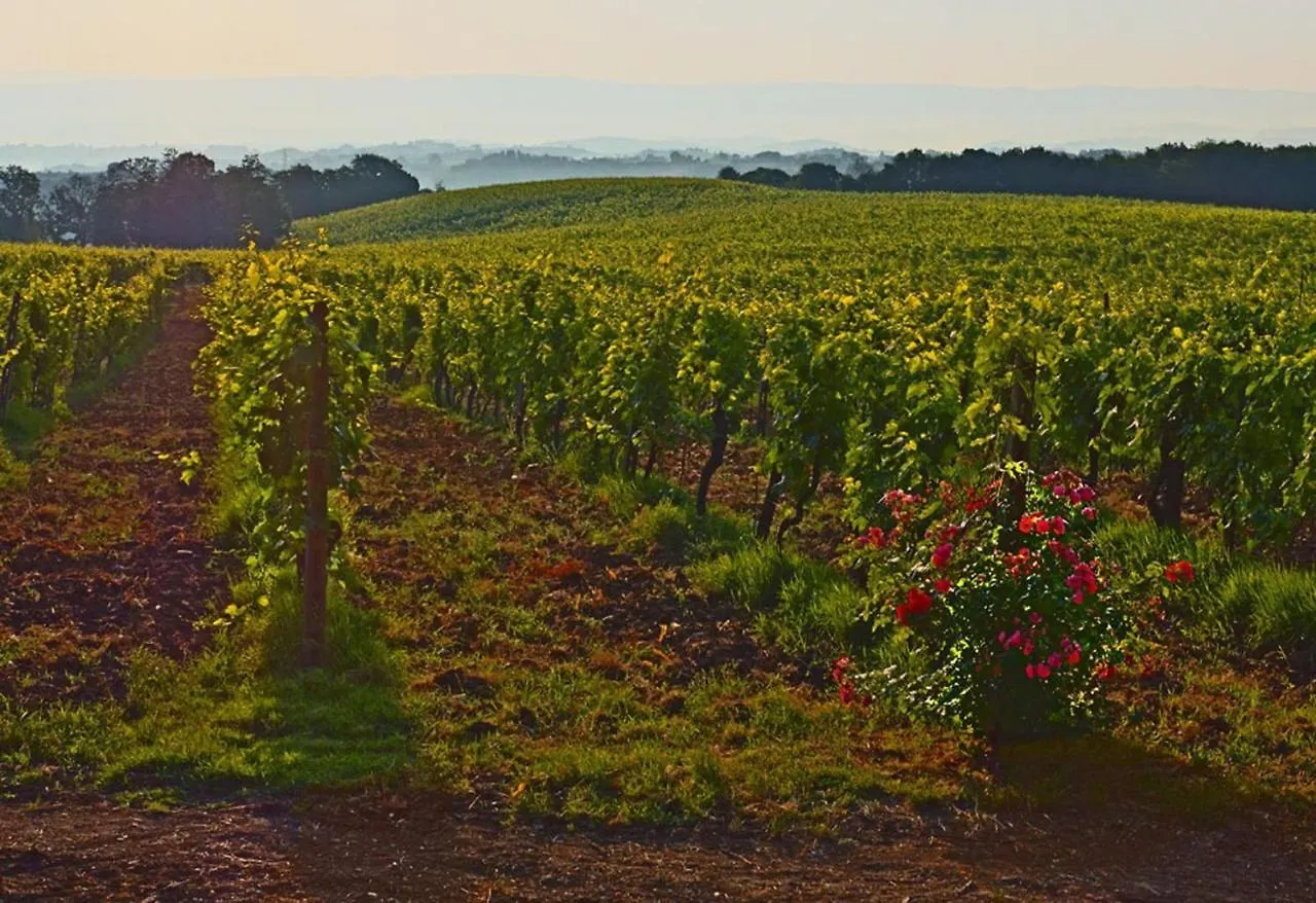 Agriturismo Fattoria Il Piano - Casa Bugno - San Gimignano