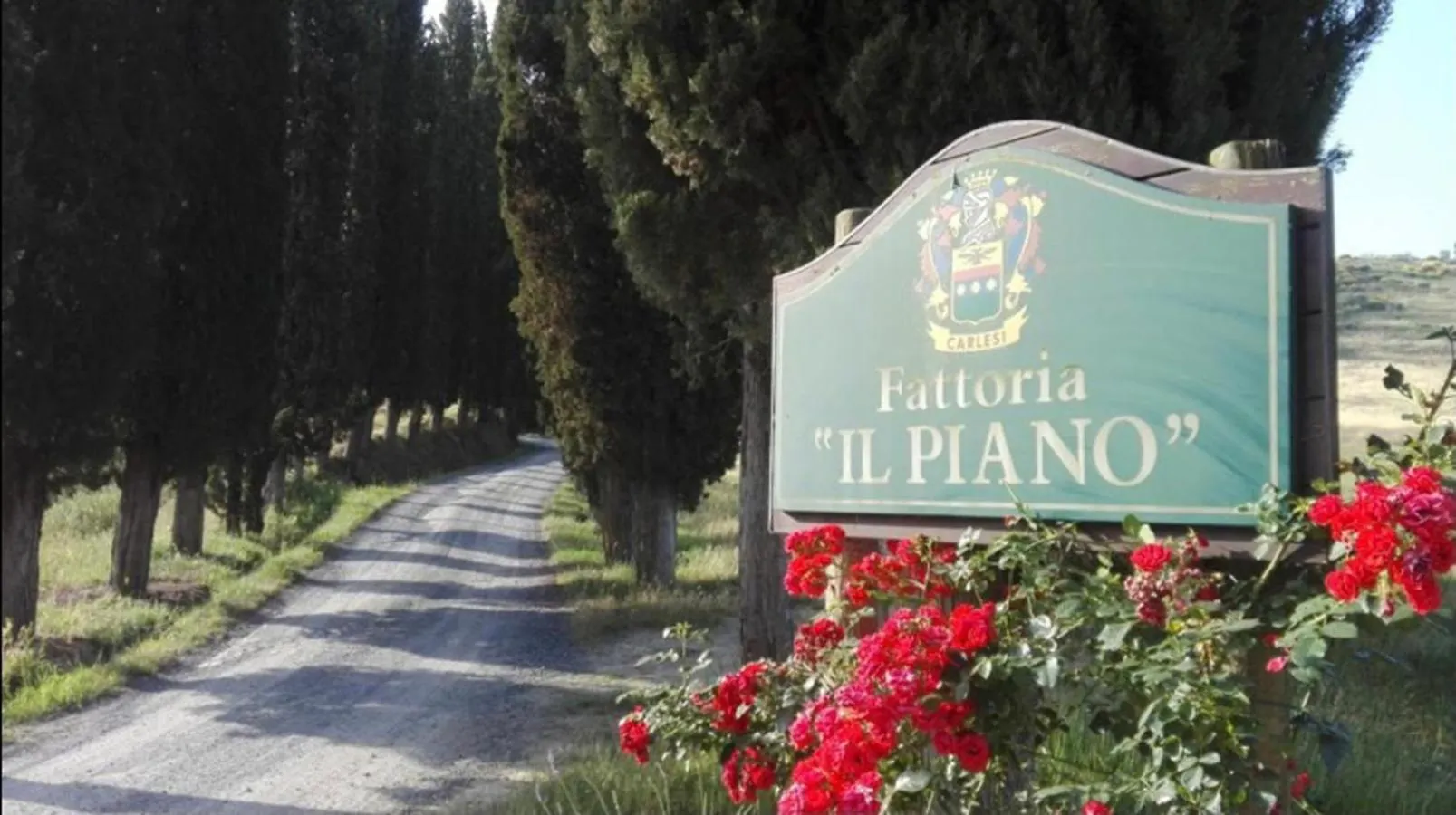 Farm stay Agriturismo Fattoria Il Piano - Casa Bugno - San Gimignano Italy