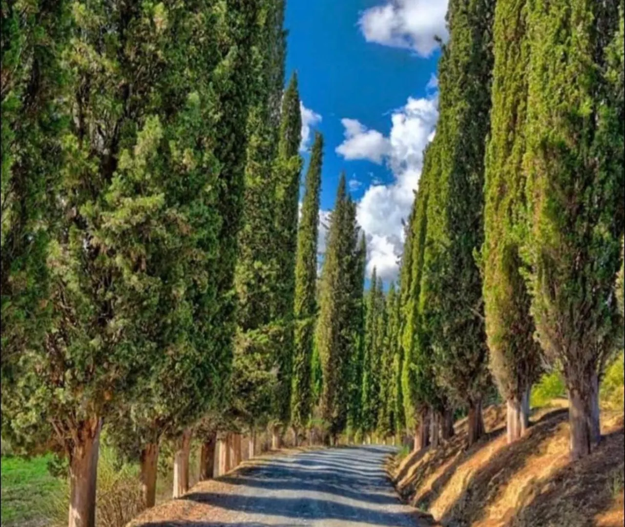 Agriturismo Fattoria Il Piano - Casa Bugno - San Gimignano