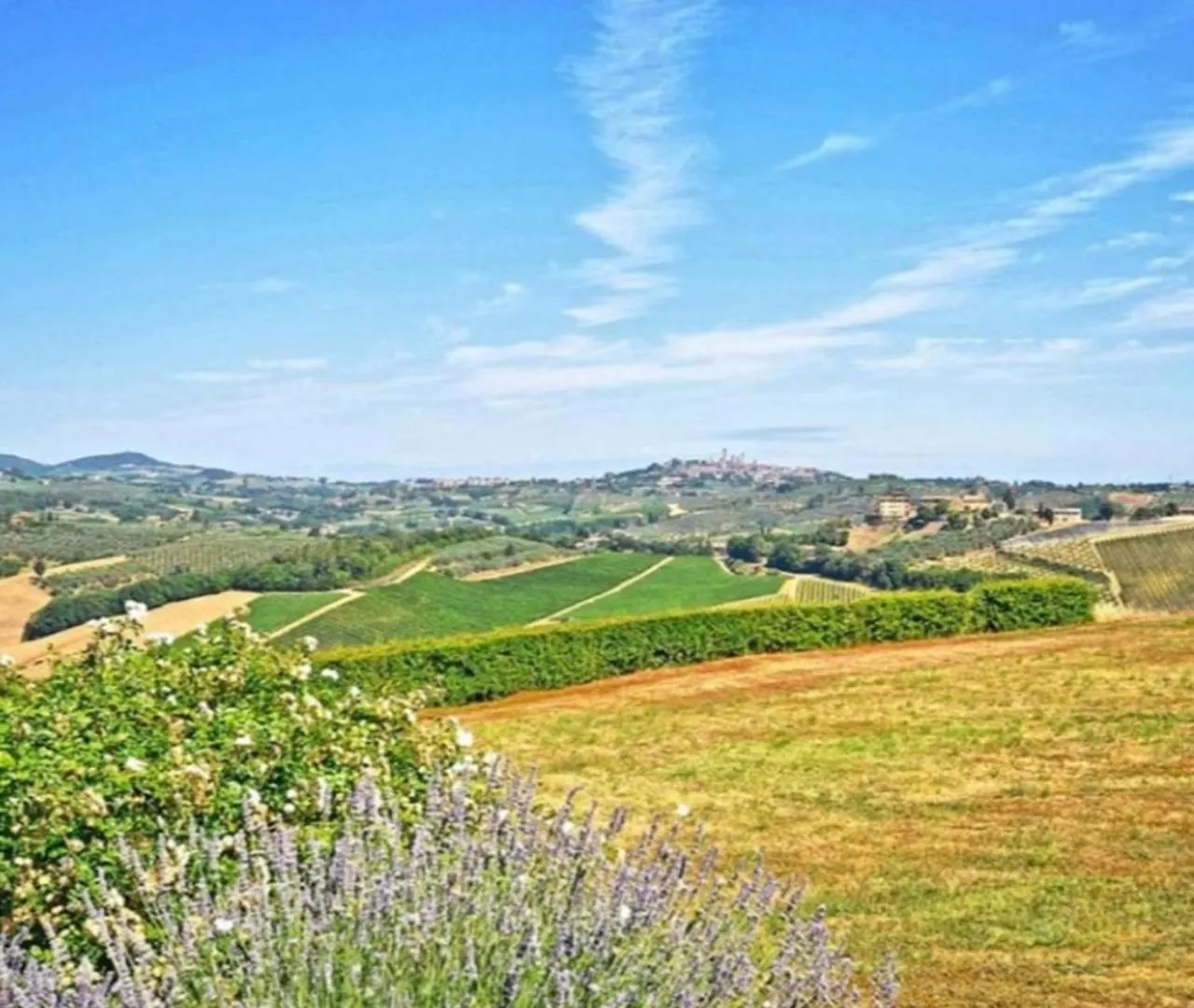 Farm stay Agriturismo Fattoria Il Piano - Casa Bugno - San Gimignano